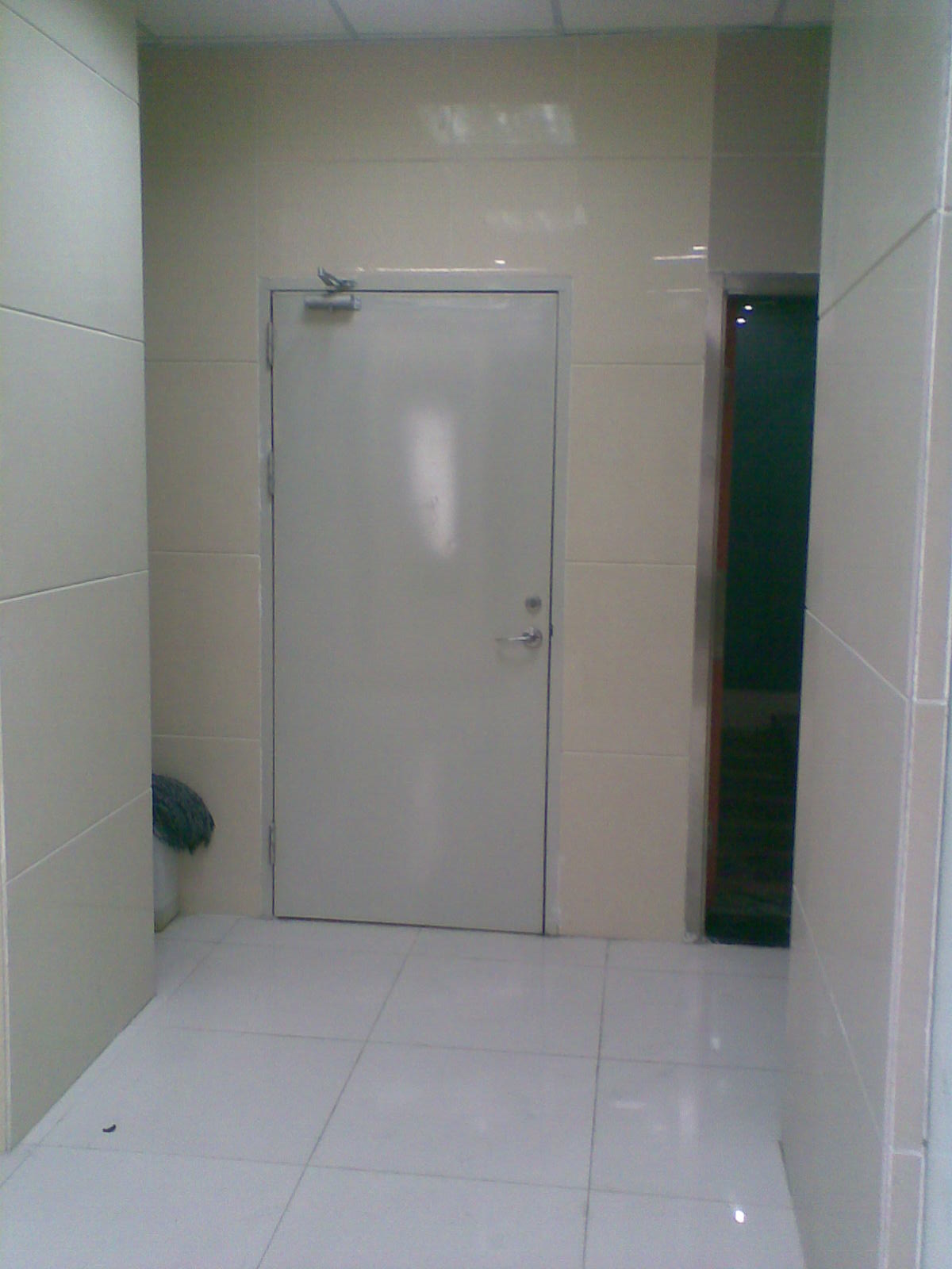 Steel Swing Door foto 10